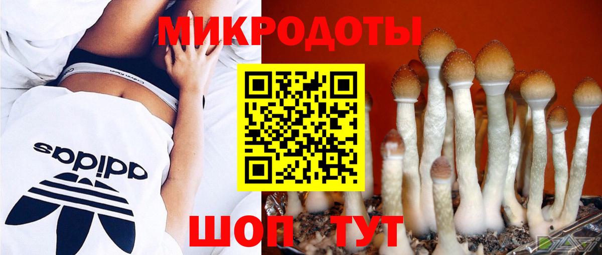 Псилоцибиновые грибы ЛСД Нягань